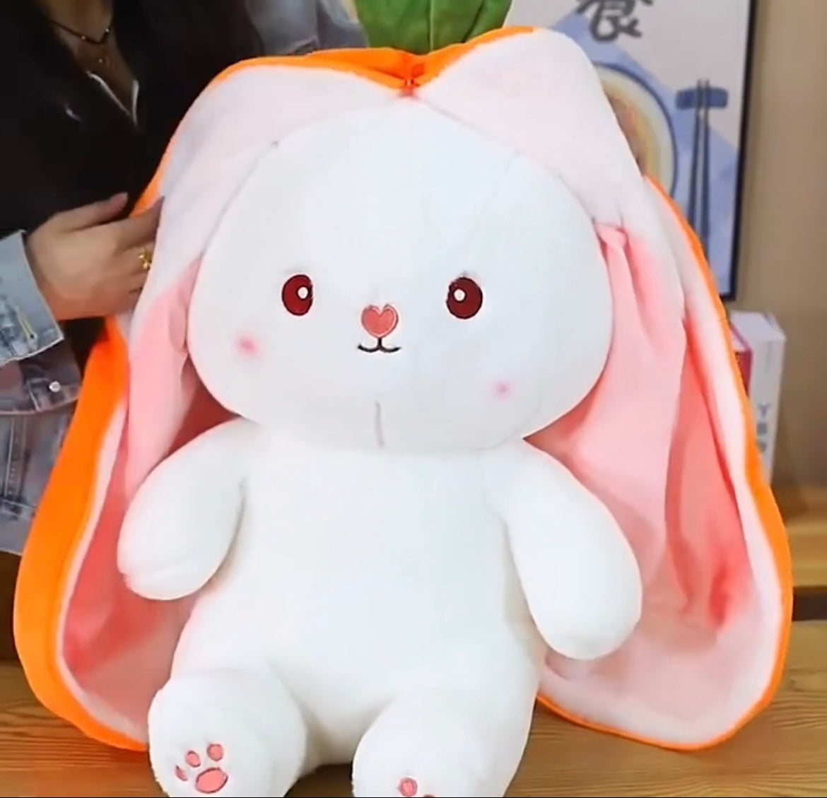 Plush Rabbit - The Ultimate Cuddle Buddy from Jobatua.com